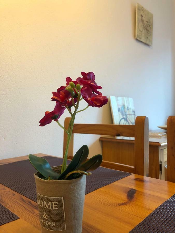 Apartaments S'Arenella Cadaqués Exteriör bild